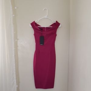 NWT Gorgeous Pink Vesper Dress
